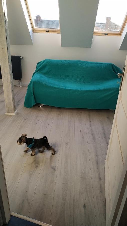 Apartament Witkacego Zielony Słupsk Exterior foto