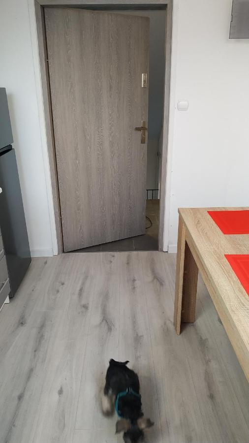 Apartament Witkacego Zielony Słupsk Exterior foto
