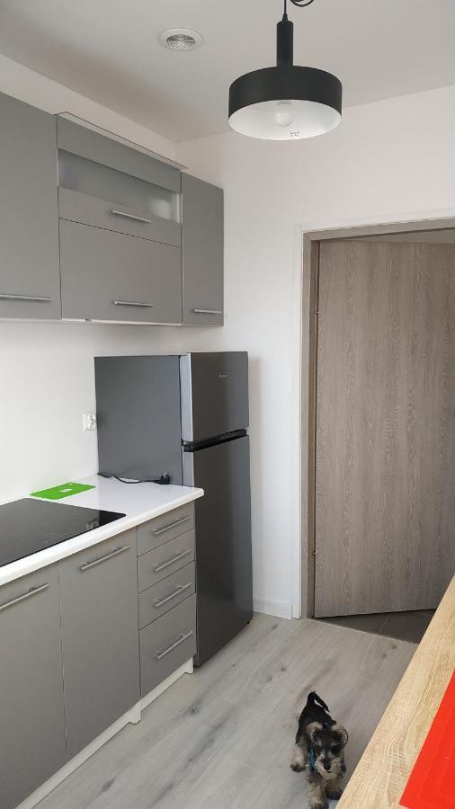 Apartament Witkacego Zielony Słupsk Exterior foto